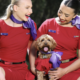 Virgin Australia Pets